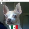 claudiachida2