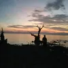 _angiewijaya