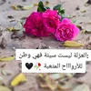 user3138802731614