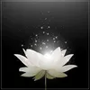 lethuyduong96