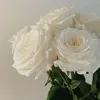 saaam_el
