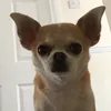 jaymowza