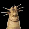 pisunpropisun