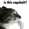 bigego96