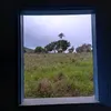 jadinho00