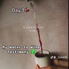 lifestyle_content55