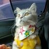 mamameow12
