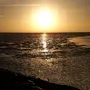 zaaina143