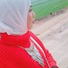 eng_zoza23