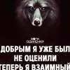 vladimirvladimir058