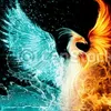 froztflame