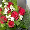 shosh_303