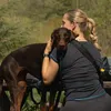 alice_the_doberman