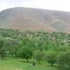 mohamedelhassna0