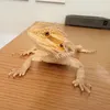tap_forg