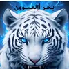 saqar_aljaw