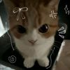 littleapple..._