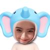 Windii