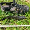 mzarif_2903