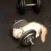 h_duc21