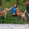 roselyn_1986_01