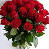 user491220528