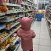 ini_kucingnya