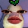 pebyyns