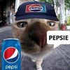 midoppy.yt