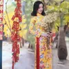 linhmientay