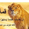 user2777662893168