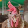 osha_farm