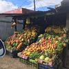 nica4vida