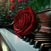 user8731323