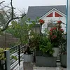 trongnhanqn