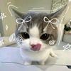 mala_km88