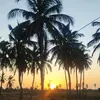 valdeniarodrigue05