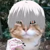 genshin_fagi_pidorasi
