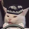 based.turkic