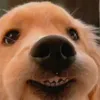 patryyyciaaa