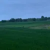 634567453g