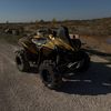 reecerogers36
