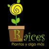 raices.plantasyalgomas