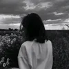 51il_x6