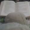 gissele.paola123