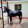 laramambo62