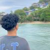 _amber.palsu20