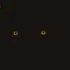 emollyb