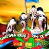 teklitmaheri3