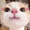 pwettyyy20
